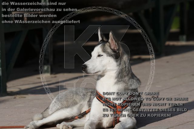 a_DSC06034.JPG